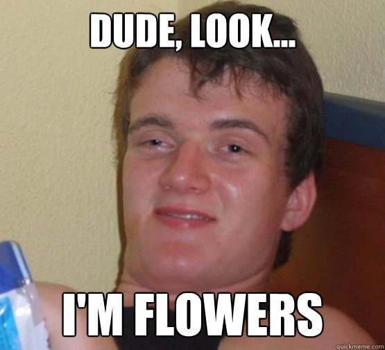 Dude, look... I'm flowers - Dude, look... I'm flowers  Stoner Stanley