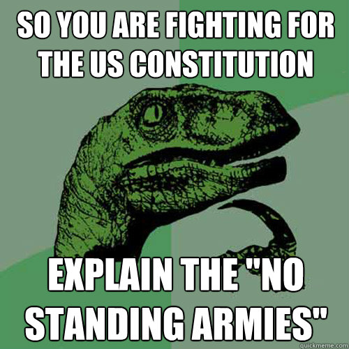 so you are fighting for the us constitution explain the 