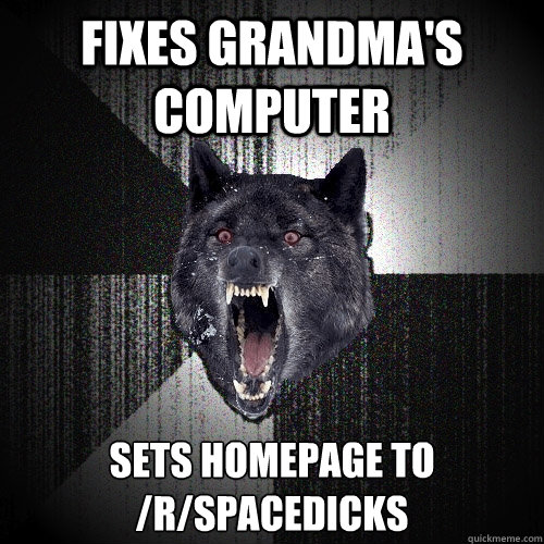 Fixes Grandma's computer Sets homepage to /r/spacedicks  Insanity Wolf