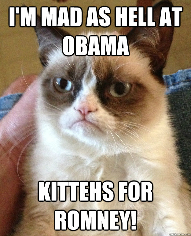 I'm mad as hell at obama kittehs for romney!   Grumpy Cat