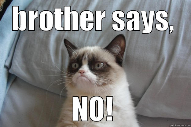 BROTHER SAYS, NO! Grumpy Cat