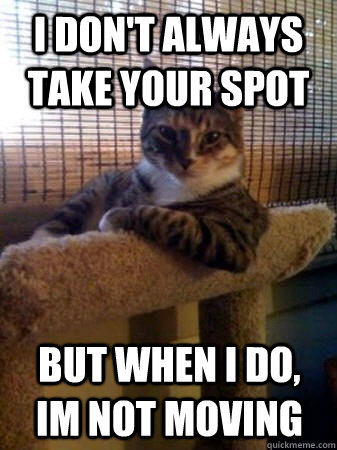 I don't always take your spot but when I do, Im not moving   The Most Interesting Cat in the World