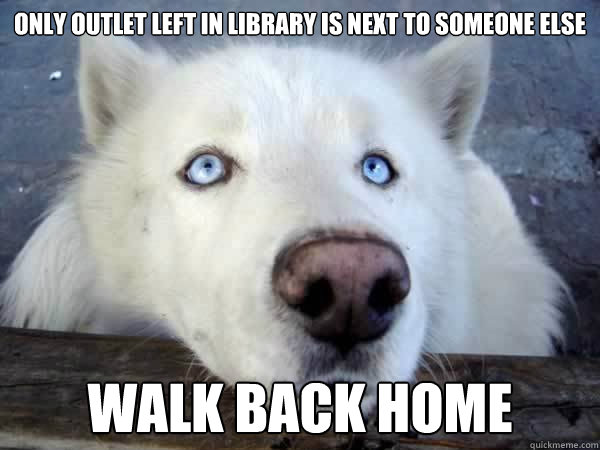 Only outlet left in library is next to someone else walk back home - Only outlet left in library is next to someone else walk back home  Socially Awkward Husky