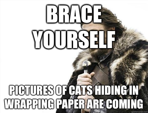 Brace Yourself Pictures of cats hiding in wrapping paper are coming  Brace yourself end of the world tweets are coming