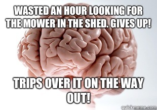 Wasted an hour looking for the mower in the shed. gives up! Trips over it on the way out! - Wasted an hour looking for the mower in the shed. gives up! Trips over it on the way out!  Scumbag Brain Strikes Again!