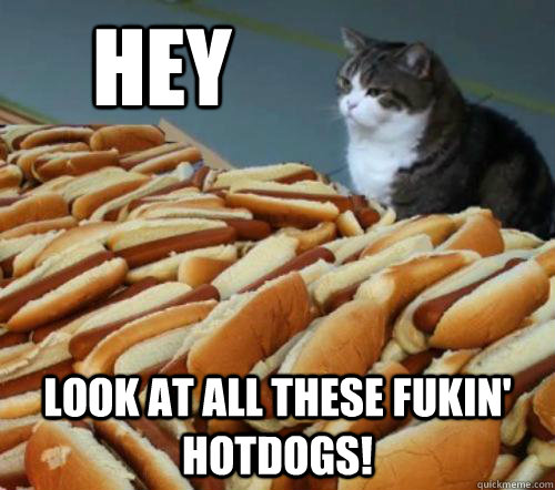 hey look at all these fukin' hotdogs!  Cat And Hotdogs