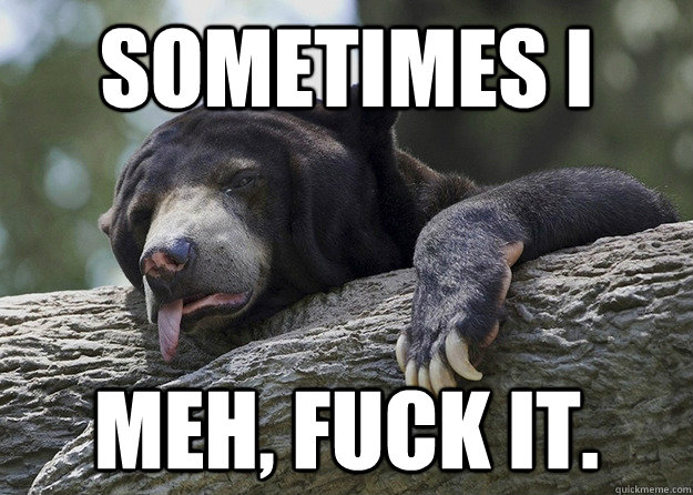 sometimes I meh, fuck it. - sometimes I meh, fuck it.  Lazy Confession Bear