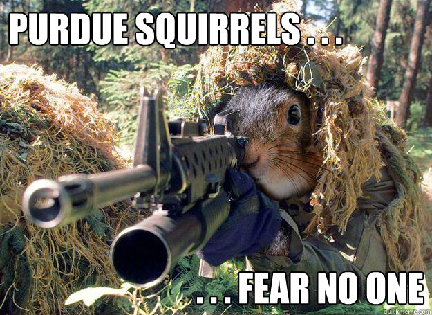 Purdue Squirrels . . . . . . fear no one  