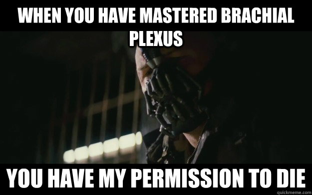 When you have mastered brachial plexus You have my permission to die - When you have mastered brachial plexus You have my permission to die  Badass Bane