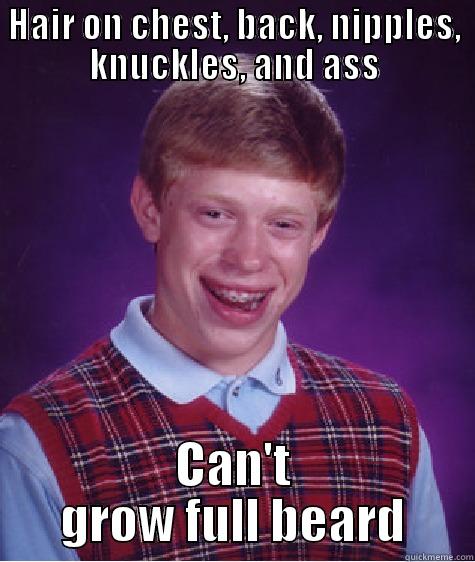 HAIR ON CHEST, BACK, NIPPLES, KNUCKLES, AND ASS CAN'T GROW FULL BEARD Bad Luck Brian