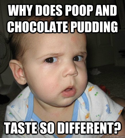 Why does Poop and chocolate pudding taste so different? - Why does Poop and chocolate pudding taste so different?  Misc