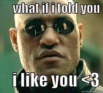      WHAT IF I TOLD YOU       I LIKE YOU <3 Matrix Morpheus