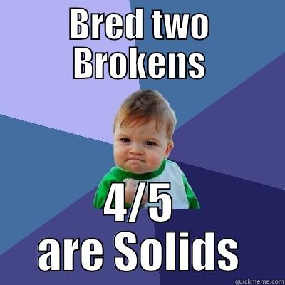 BRED TWO BROKENS 4/5 ARE SOLIDS Success Kid
