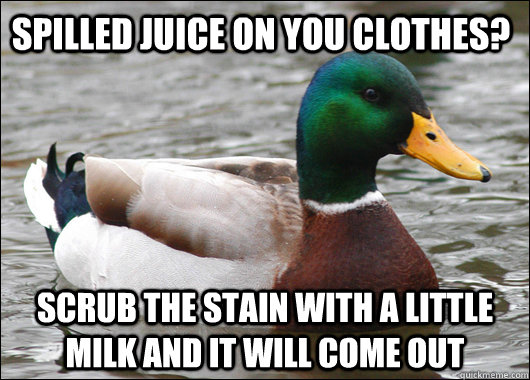 spilled juice on you clothes? scrub the stain with a little milk and it will come out - spilled juice on you clothes? scrub the stain with a little milk and it will come out  Actual Advice Mallard