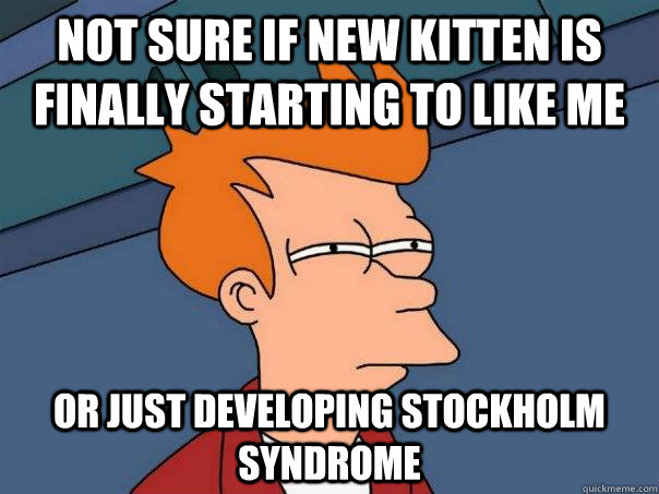 Not sure if new kitten is finally starting to like me Or just developing stockholm Syndrome  Futurama Fry