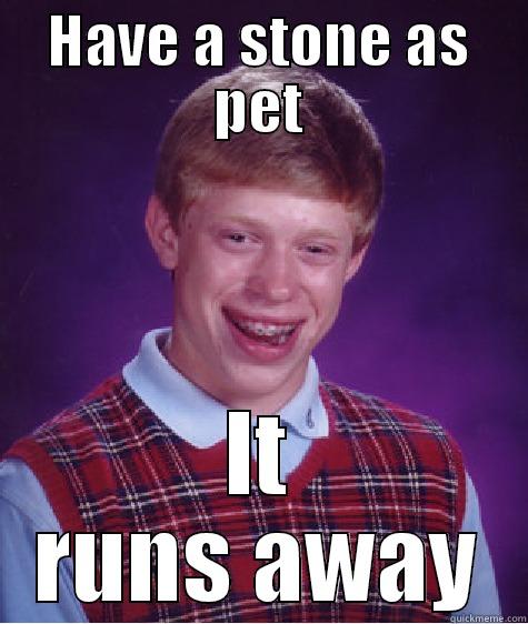 HAVE A STONE AS PET IT RUNS AWAY Bad Luck Brian