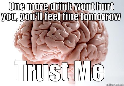 ONE MORE DRINK WONT HURT YOU, YOU'LL FEEL FINE TOMORROW TRUST ME Scumbag Brain