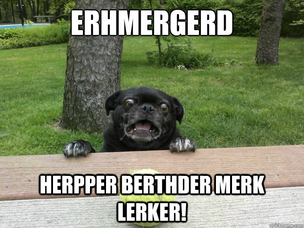 ERHMERGERD HERPPER BERTHDER MERK LERKER!  Berks Dog