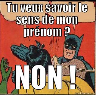 TU VEUX SAVOIR LE SENS DE MON PRÉNOM ? NON ! Slappin Batman