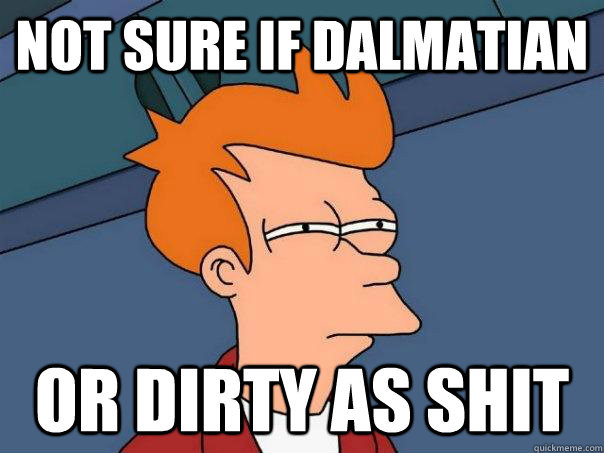 Not sure if Dalmatian Or Dirty As Shit  Futurama Fry