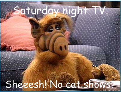 Saturday night TV. Sheeesh! No cat shows? - Saturday night TV. Sheeesh! No cat shows?  Misc