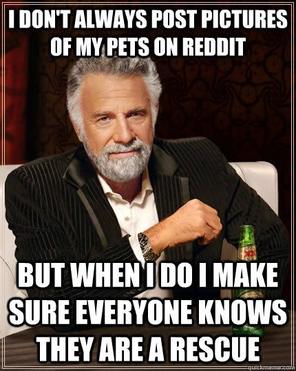 I don't always post pictures of my pets on reddit but when I do I make sure everyone knows they are a rescue   The Most Interesting Man In The World