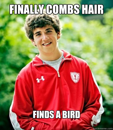 Finally combs hair finds a bird  - Finally combs hair finds a bird   School Oriented Steve