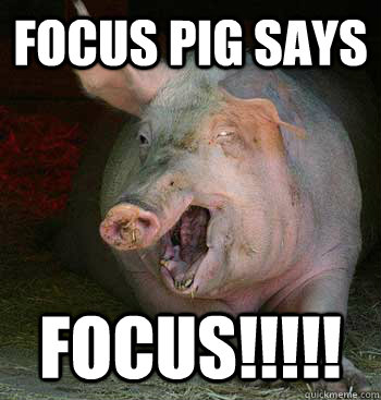 FOCUS PIG SAYS FOCUS!!!!!  Focus Pig