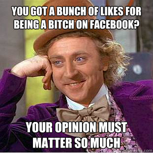 you got a bunch of likes for being a bitch on Facebook? Your opinion must matter so much  Willy Wonka Meme