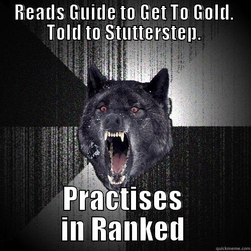 READS GUIDE TO GET TO GOLD. TOLD TO STUTTERSTEP. PRACTISES IN RANKED Insanity Wolf