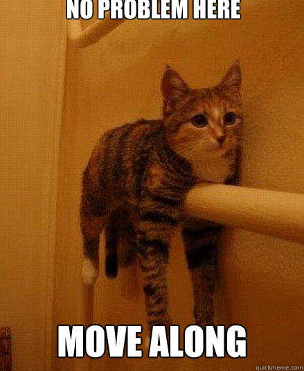No Problem here Move along  - No Problem here Move along   Monorail Cat