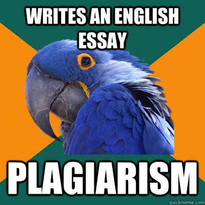 writes an English essay  plagiarism   Paranoid Parrot