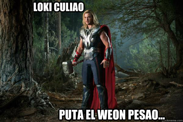 loki culiao puta el weon pesao...  