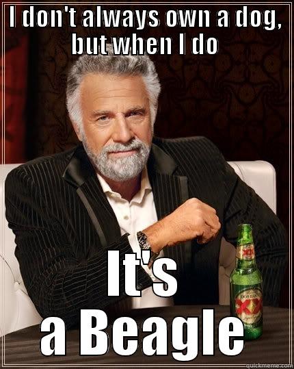 I DON'T ALWAYS OWN A DOG, BUT WHEN I DO IT'S A BEAGLE The Most Interesting Man In The World