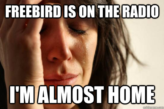 Freebird is on the radio I'm almost home  First World Problems