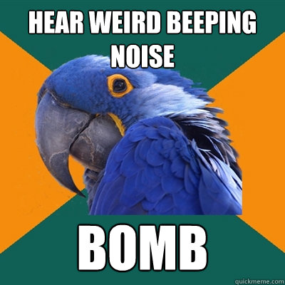 Hear weird beeping noise BOMB  Paranoid Parrot
