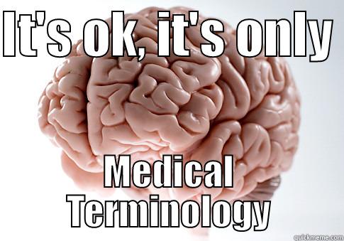 IT'S OK, IT'S ONLY  MEDICAL TERMINOLOGY Scumbag Brain