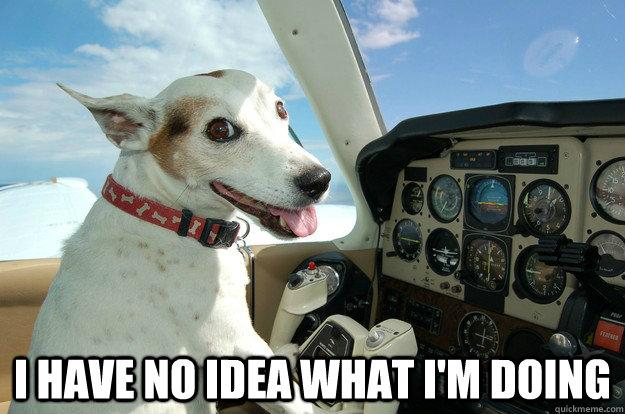  I have no idea what I'm Doing -  I have no idea what I'm Doing  Co-Pilot Dog