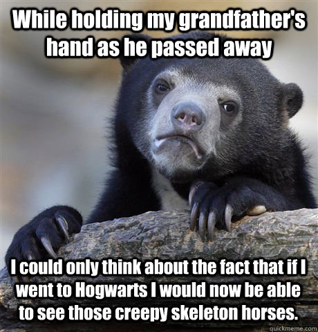 While holding my grandfather's hand as he passed away I could only think about the fact that if I went to Hogwarts I would now be able to see those creepy skeleton horses.  Confession Bear