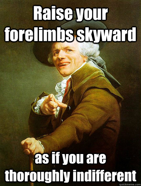 Raise your forelimbs skyward  as if you are thoroughly indifferent  