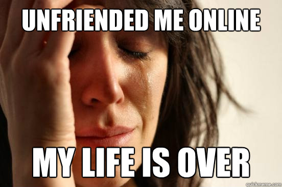 unfriended me online my life is over  First World Problems