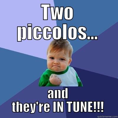 TWO PICCOLOS... AND THEY'RE IN TUNE!!! Success Kid