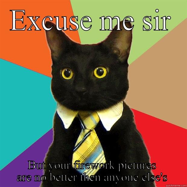 EXCUSE ME SIR BUT YOUR FIREWORK PICTURES ARE NO BETTER THEN ANYONE ELSE'S Business Cat