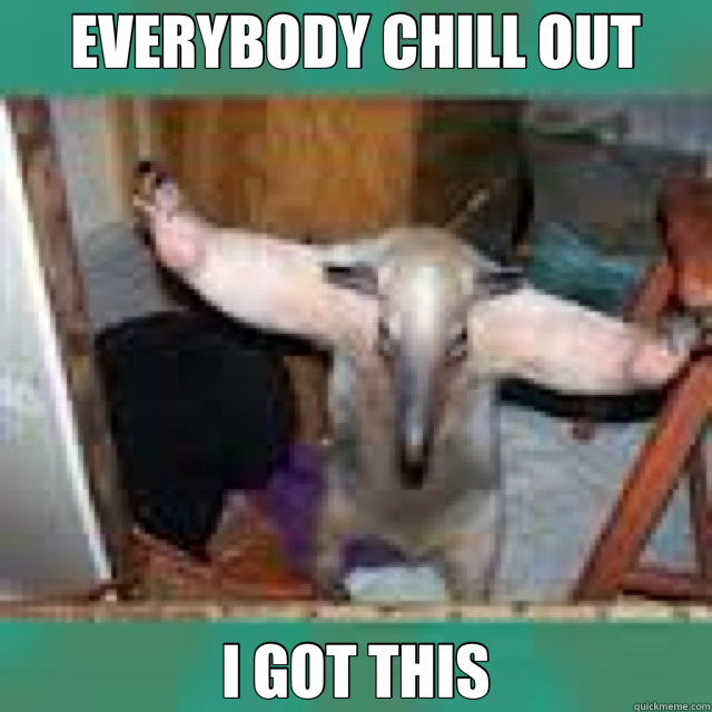 EVERYBODY CHILL OUT I GOT THIS  anteater