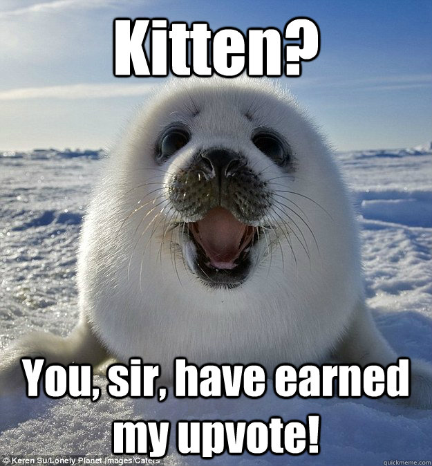 Kitten? You, sir, have earned my upvote!  Easily Pleased Seal