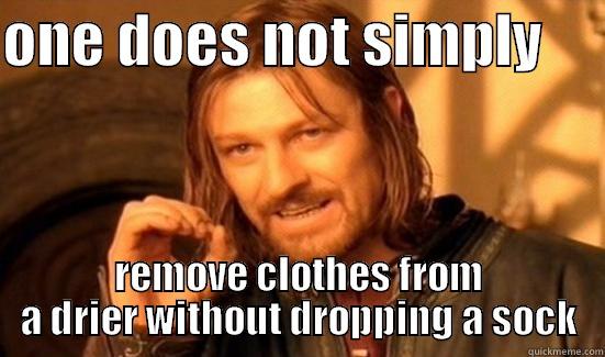 ONE DOES NOT SIMPLY      REMOVE CLOTHES FROM A DRIER WITHOUT DROPPING A SOCK Boromir