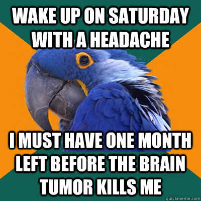 Wake up on saturday with a headache i must have one month left before the brain tumor kills me  Paranoid Parrot