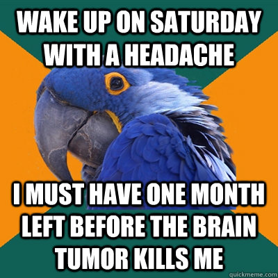 Wake up on saturday with a headache i must have one month left before the brain tumor kills me - Wake up on saturday with a headache i must have one month left before the brain tumor kills me  Paranoid Parrot