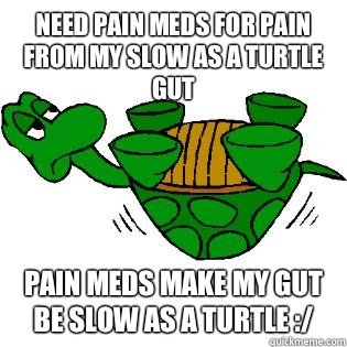 Need pain meds for pain from my slow as a turtle gut Pain meds make my gut be slow as a turtle :/  