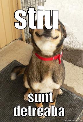 STIU  SUNT DETREABA  Good Dog Greg